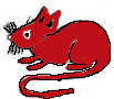 1.Red Rat-mali