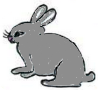 19.Grey Rabbit
