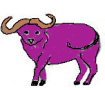 6.Purple OX