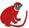 Majmun - crveni