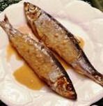 fish_food
